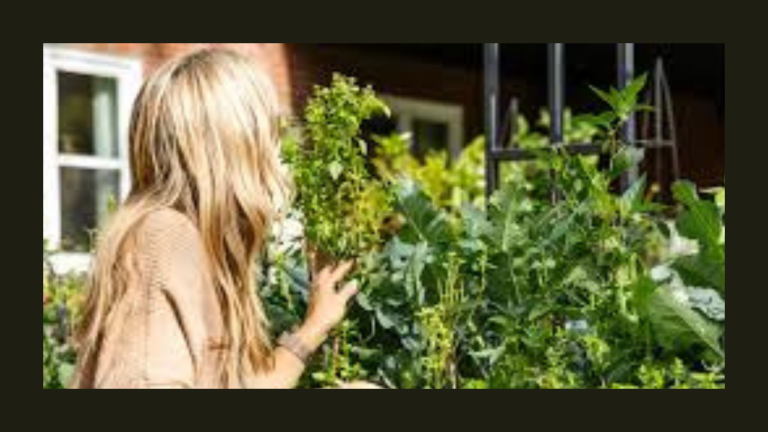 Growing Success